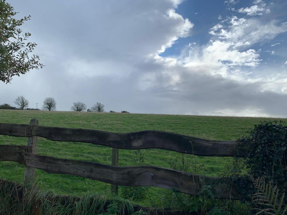 Character Dartmoor Cottage Йелвертън Екстериор снимка